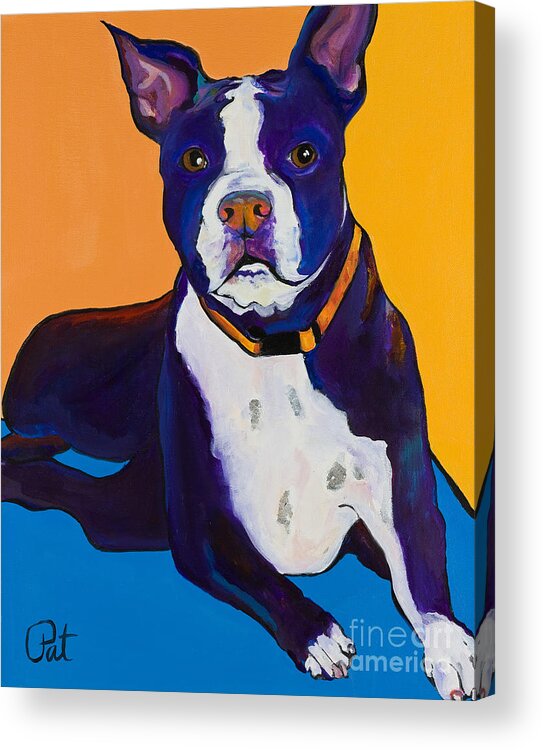 Boston Terrier Acrylic Print featuring the painting Georgie by Pat Saunders-White