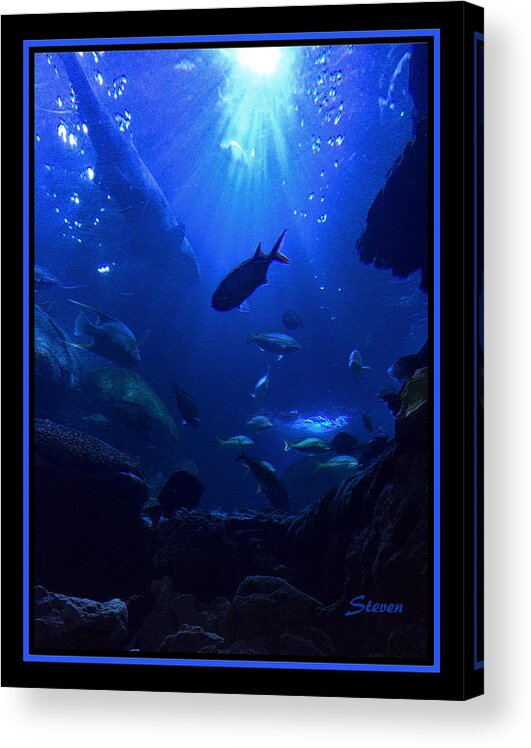 Fish Acrylic Print featuring the photograph Getting Along by Steven Lebron Langston