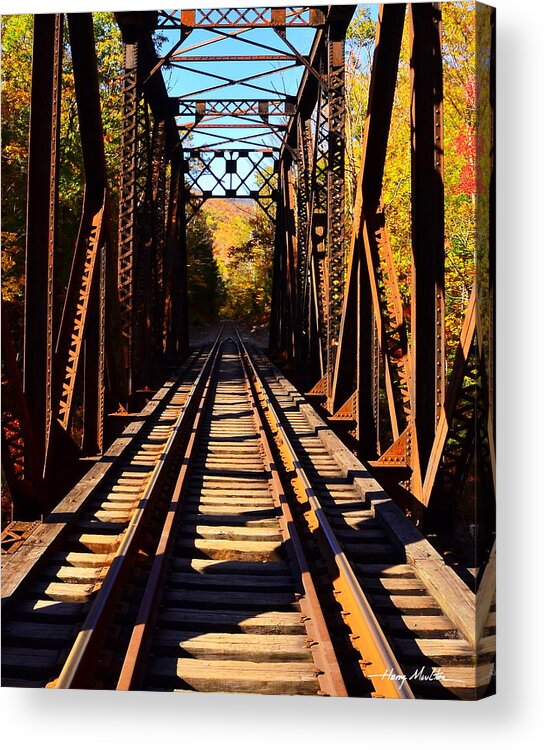 Bridge Acrylic Print featuring the photograph Going Thruogh by Harry Moulton