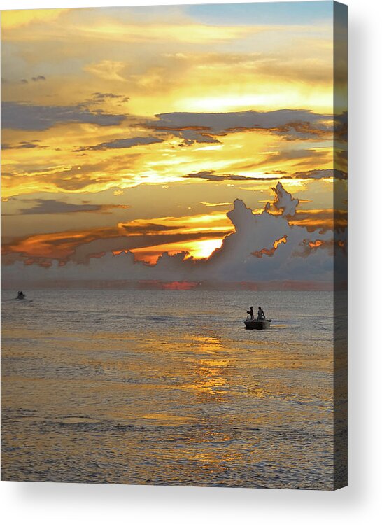 Yellow Acrylic Print featuring the photograph Going Verticle by Alison Belsan Horton
