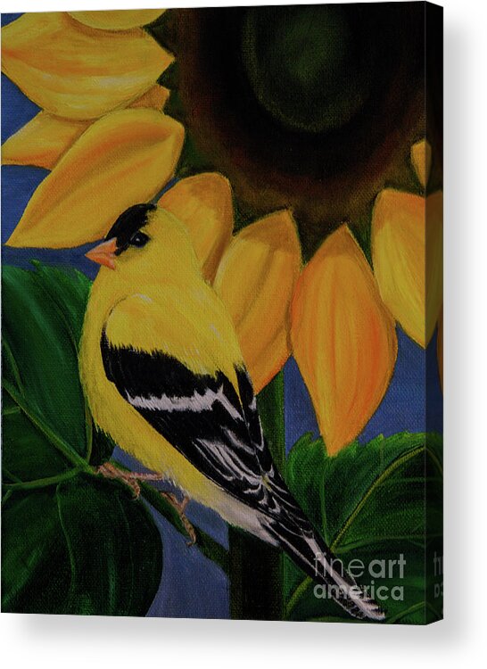 Finch Acrylic Print featuring the painting Goldfinch and Sunflower by Jane Axman