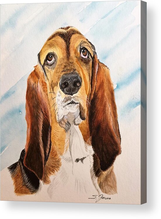 Basset Hound Acrylic Print featuring the mixed media Good Grief 2 by Sonja Jones
