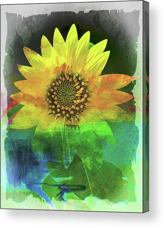Sunflower Acrylic Print featuring the photograph Good Morning Sunshine by Sheri McLeroy