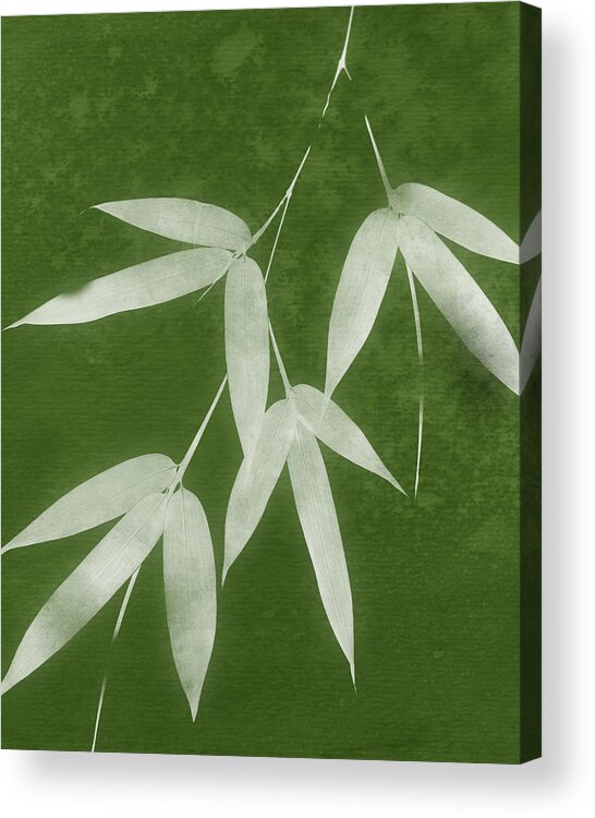 Bamboo Acrylic Print featuring the mixed media Green Bamboo 1-Art by Linda Woods by Linda Woods