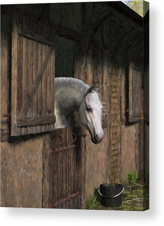 Horse Acrylic Print featuring the digital art Grey Horse in the Stable - Waiting for Dinner by Jayne Wilson