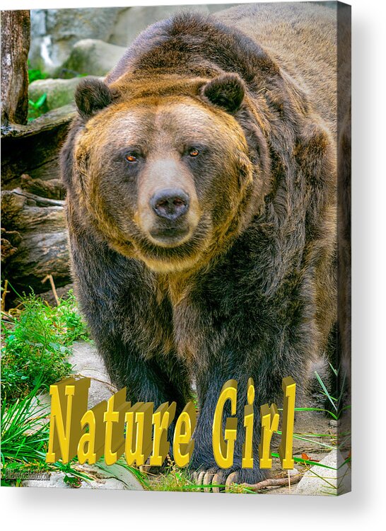 Nature Wear Acrylic Print featuring the photograph Grizzly Bear Nature Girl  by LeeAnn McLaneGoetz McLaneGoetzStudioLLCcom