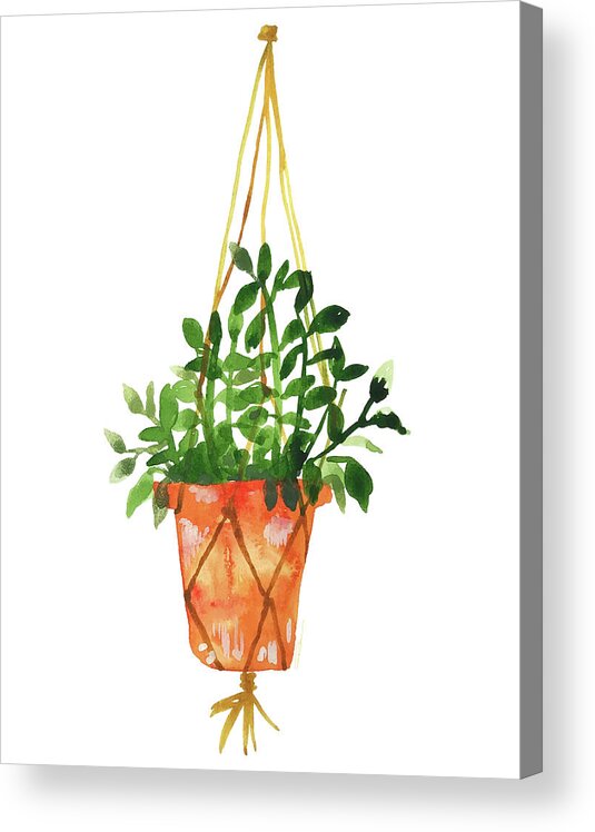 Modern Plant Prints Acrylic Print featuring the painting Hangin' Out Terra-cotta Planter by Roleen Senic