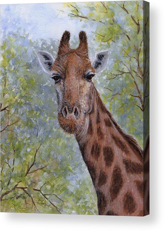 Giraffe Acrylic Print featuring the painting Here's Looking at You by June Hunt