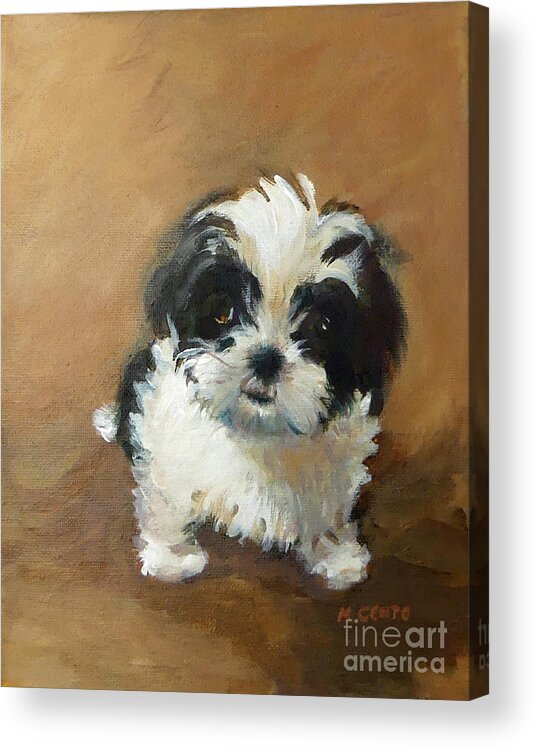 Animal Acrylic Print featuring the painting Love My Dog by Mafalda Cento