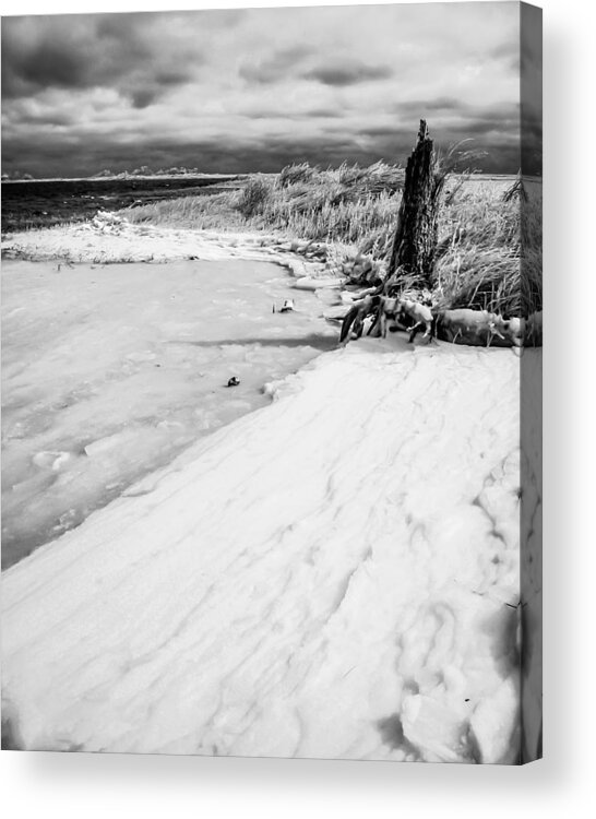 Beach Acrylic Print featuring the photograph Icy Beach by Hayden Hammond