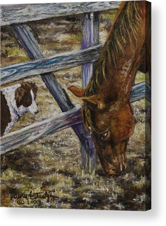 Horse Acrylic Print featuring the drawing Im Watching You by Laurie Tietjen