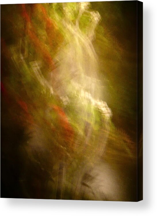 Abstract Acrylic Print featuring the photograph In the Beginning by Sean Griffin