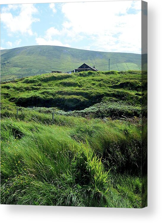 Ireland Acrylic Print featuring the photograph Irish Grasslands by Matt MacMillan
