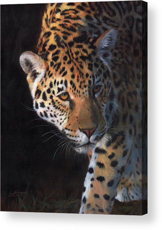 Jaguar Acrylic Print featuring the painting Jaguar Portrait by David Stribbling