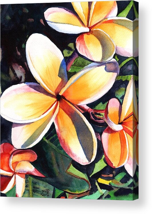 Plumeria Acrylic Print featuring the painting Kauai Rainbow Plumeria by Marionette Taboniar