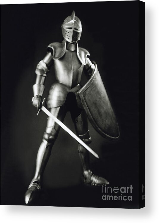 Knight Acrylic Print featuring the photograph Knight by Tony Cordoza
