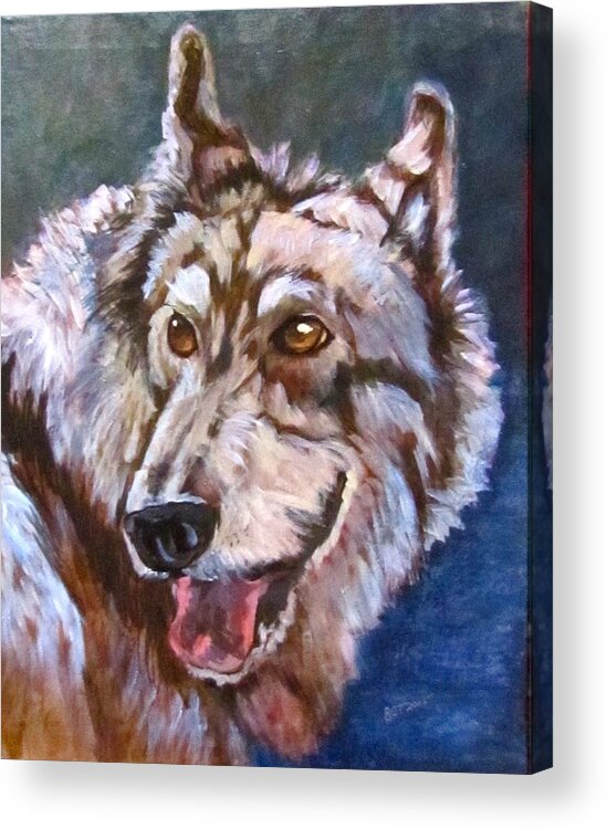 Wolf Acrylic Print featuring the painting Koukin by Barbara O'Toole