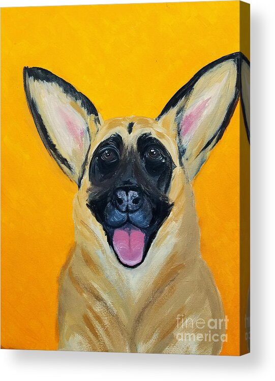 Pet Portrait Acrylic Print featuring the painting Lady Date With Paint Nov 20th by Ania M Milo