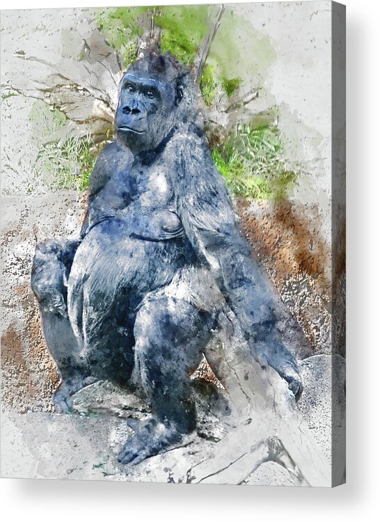 Gorilla Acrylic Print featuring the photograph Lady Gorilla Sitting Deep in Thought by Anthony Murphy
