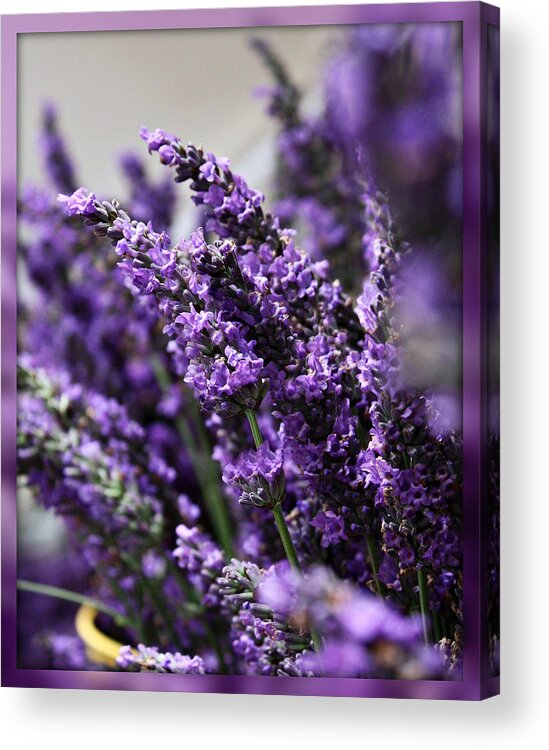 Herbs Acrylic Print featuring the photograph Lavender by Cathie Tyler