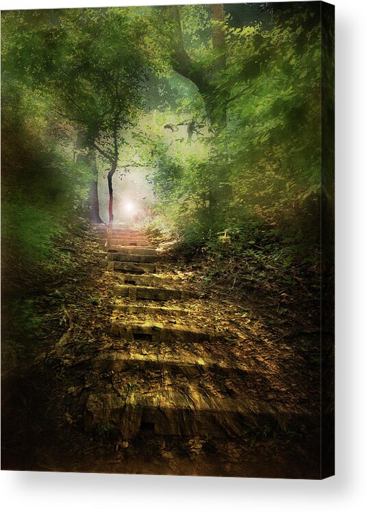 Landscape Acrylic Print featuring the photograph Lightfall by John Anderson