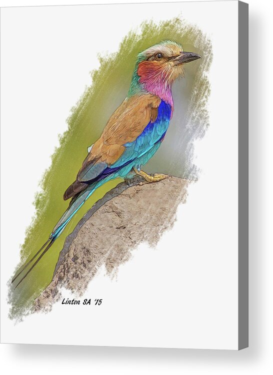 Roller Acrylic Print featuring the digital art Lilac-breasted Roller by Larry Linton