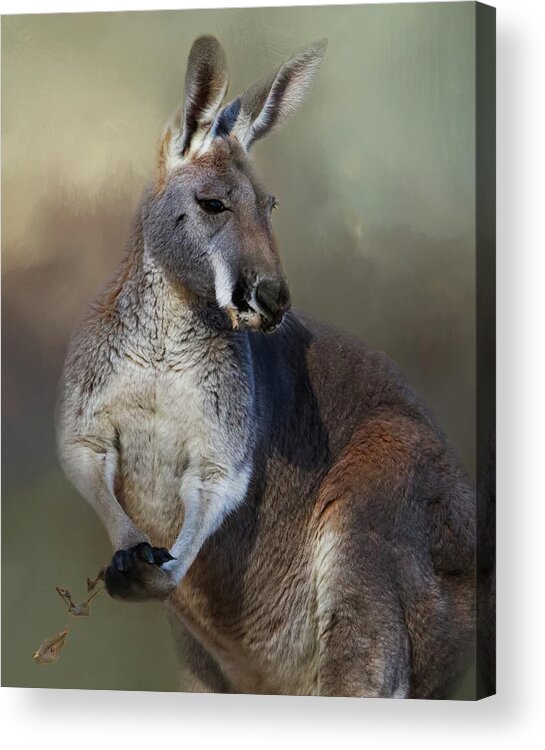 Animal Acrylic Print featuring the photograph Linden's Pose by Lana Trussell