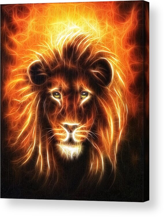 Lion Close Up Portrait Lion Head With Golden Mane Beautiful