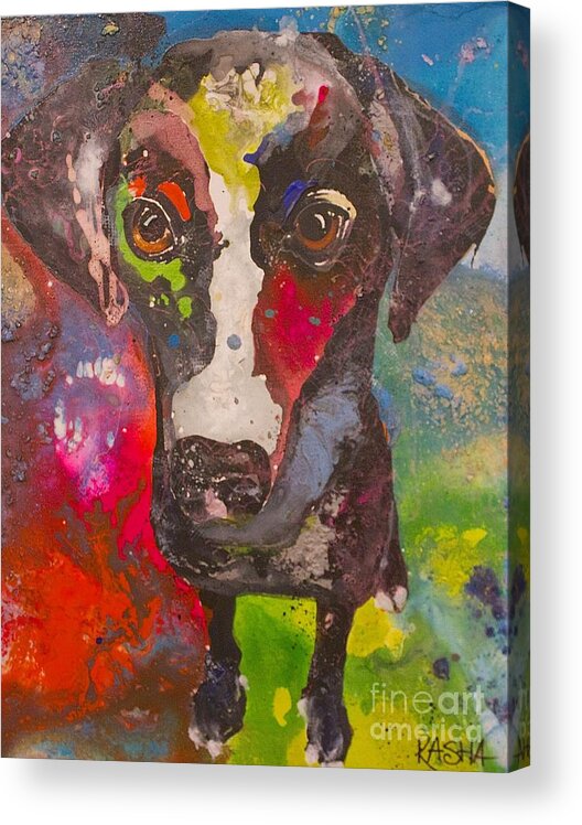 Black Lab Acrylic Print featuring the painting Little Black Lab by Kasha Ritter
