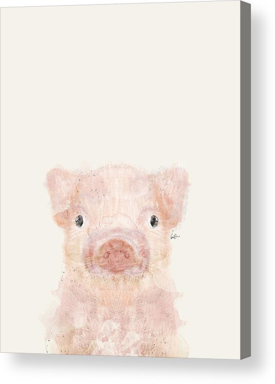 Pig Acrylic Print featuring the painting Little Pig by Bri Buckley