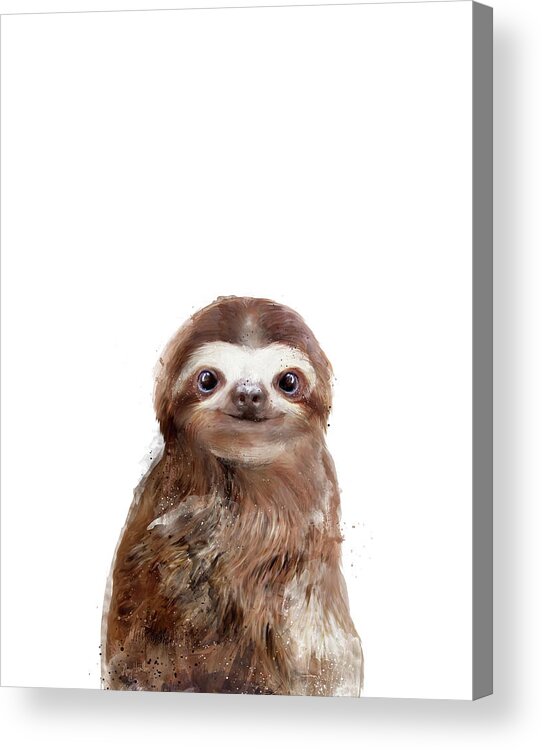 Sloth Acrylic Print featuring the painting Little Sloth by Amy Hamilton