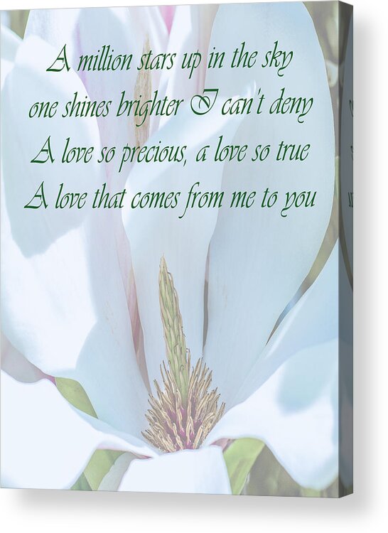 Love Acrylic Print featuring the photograph Love that comes from me to you by Ian Watts