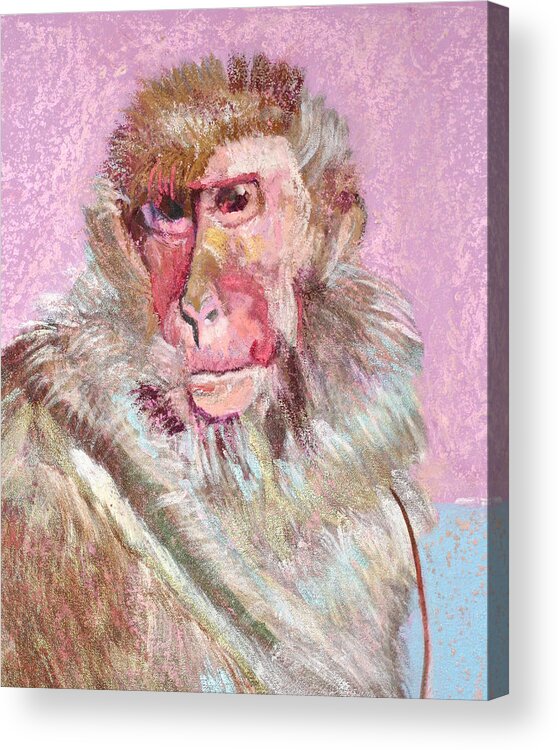 Macaque Acrylic Print featuring the painting Macaque by Jamie Downs