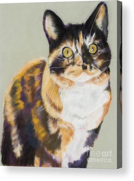 Calico Acrylic Print featuring the painting Maggie Mae by Pat Saunders-White