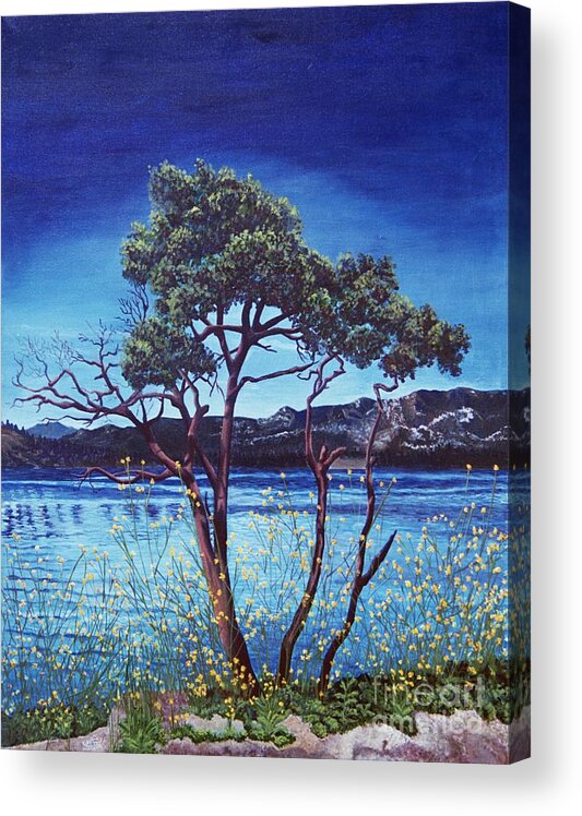 Llandscape Painting Acrylic Print featuring the painting Manzanita at Lake Hemet by Jiji Lee
