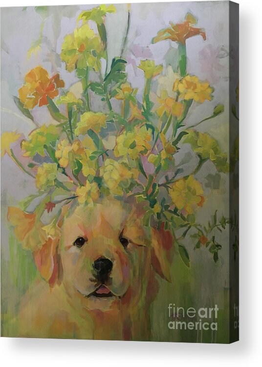 Florus Animalum Acrylic Print featuring the painting Marigold by Kimberly Santini