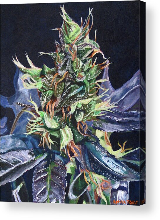 Cannabis Acrylic Print featuring the painting Master Kush by Anita Toke