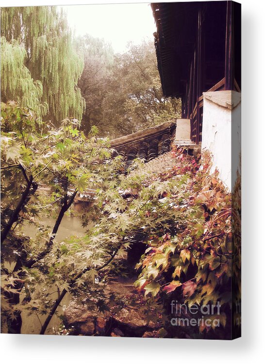 Photography Acrylic Print featuring the photograph Misty Willows by Ivy Ho