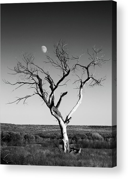 Landscapes Acrylic Print featuring the photograph Moon and Memory at Bosque del Apache N M by Mary Lee Dereske