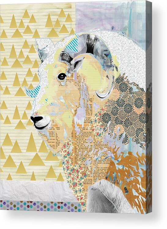 Mountain Acrylic Print featuring the mixed media Mountain Goat Collage by Claudia Schoen