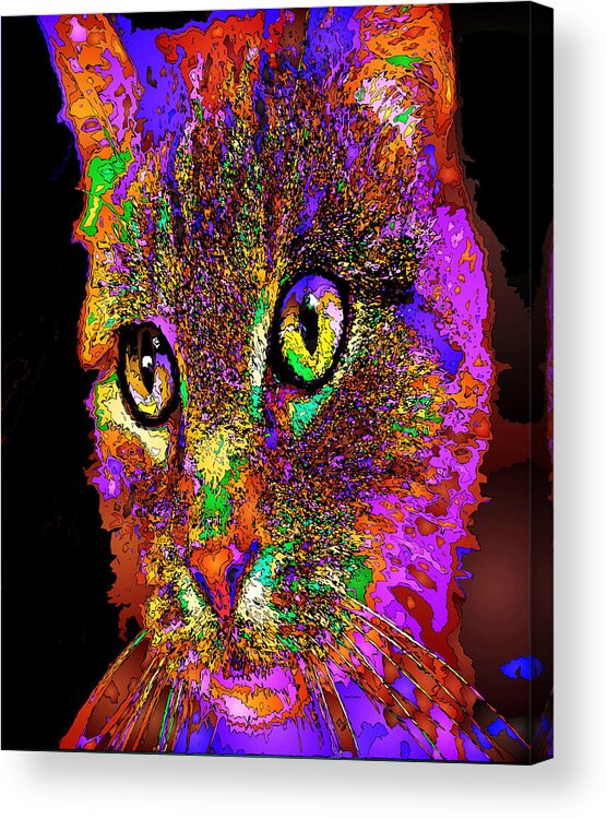 Cat Acrylic Print featuring the digital art Muffin the Cat. Pet Series by Rafael Salazar