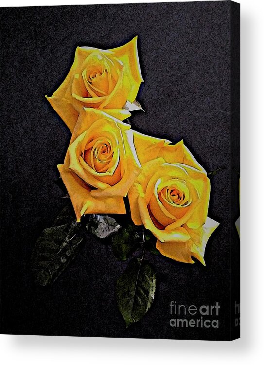 Roses Acrylic Print featuring the mixed media My Three Roses by Rita Brown