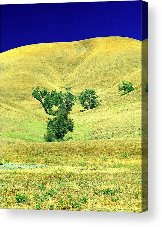 Color Theory Acrylic Print featuring the photograph Natures Color Theory by Peter Piatt