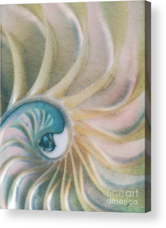 Fine Art Photography Acrylic Print featuring the photograph Nautilus #1, Embryo by John Strong