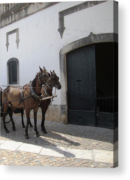Obidos Acrylic Print featuring the photograph Obidos Horses II Portugal by John Shiron