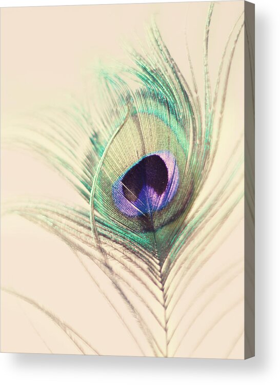 Peacock Feather Acrylic Print featuring the photograph O'Hara by Amy Tyler