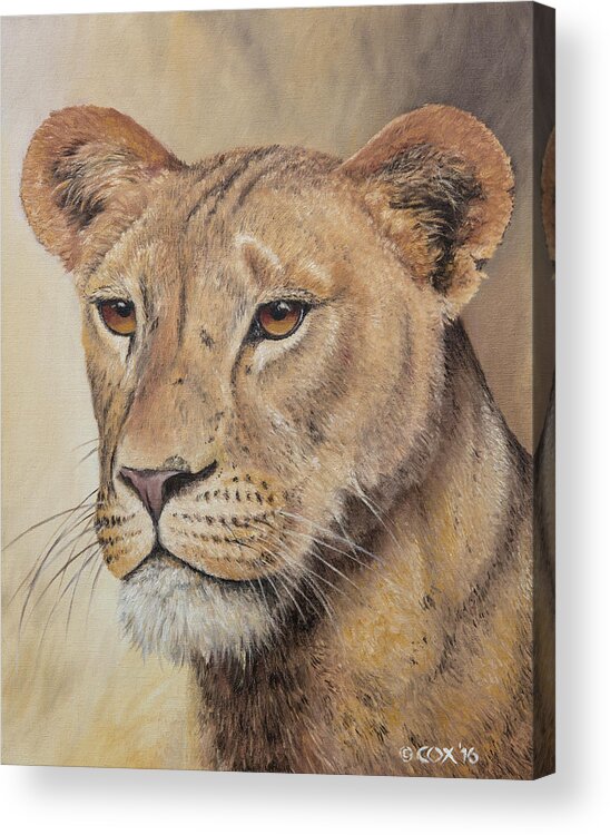 Lioness Acrylic Print featuring the painting On-guard - Lioness by Christopher Cox