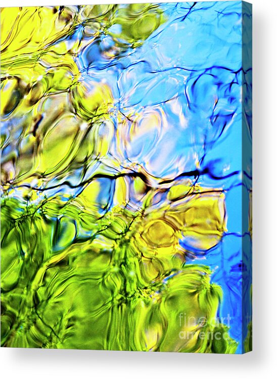 River Acrylic Print featuring the photograph On Looking Up by Tom Cameron