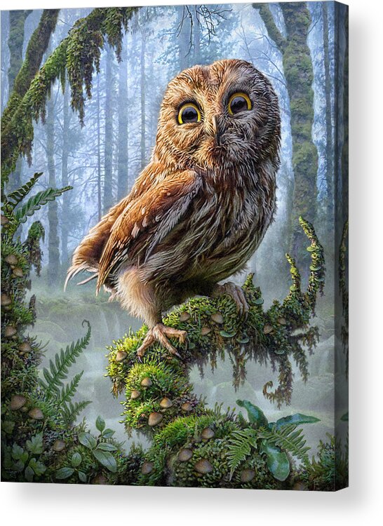 Owl Acrylic Print featuring the mixed media Owl Perch by Phil Jaeger