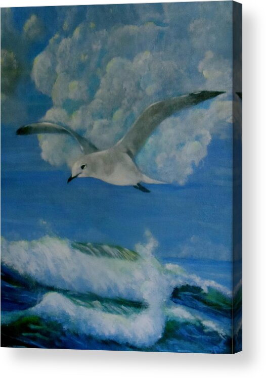 Wildlife Acrylic Print featuring the painting Panama City Seagull by Bruce Ben Pope